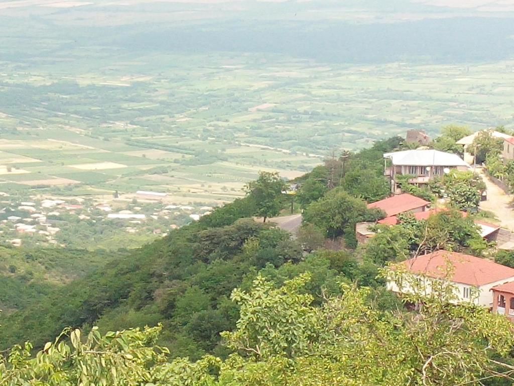 Загородные дома Green House Kachretʼi